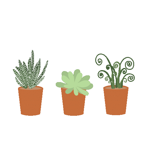Plant Gif